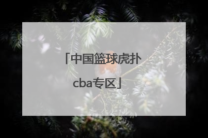 「中国篮球虎扑cba专区」中国篮球虎扑CBA专区