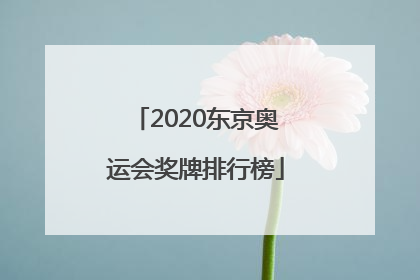 「2020东京奥运会奖牌排行榜」2020年东京奥运会奖牌排行榜