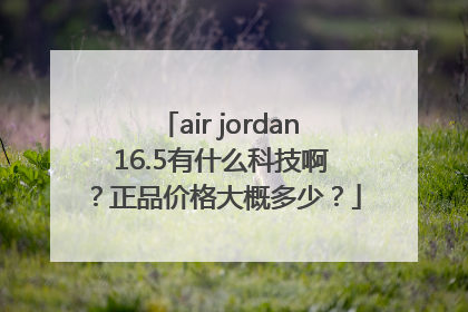 air jordan 16.5有什么科技啊？正品价格大概多少？