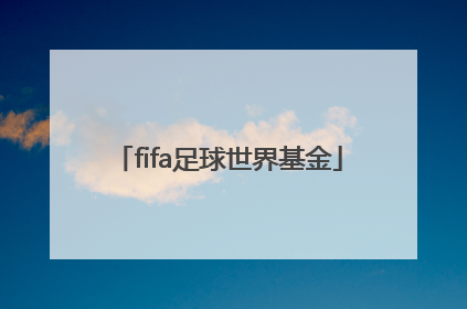 「fifa足球世界基金」fifa足球世界基金2022